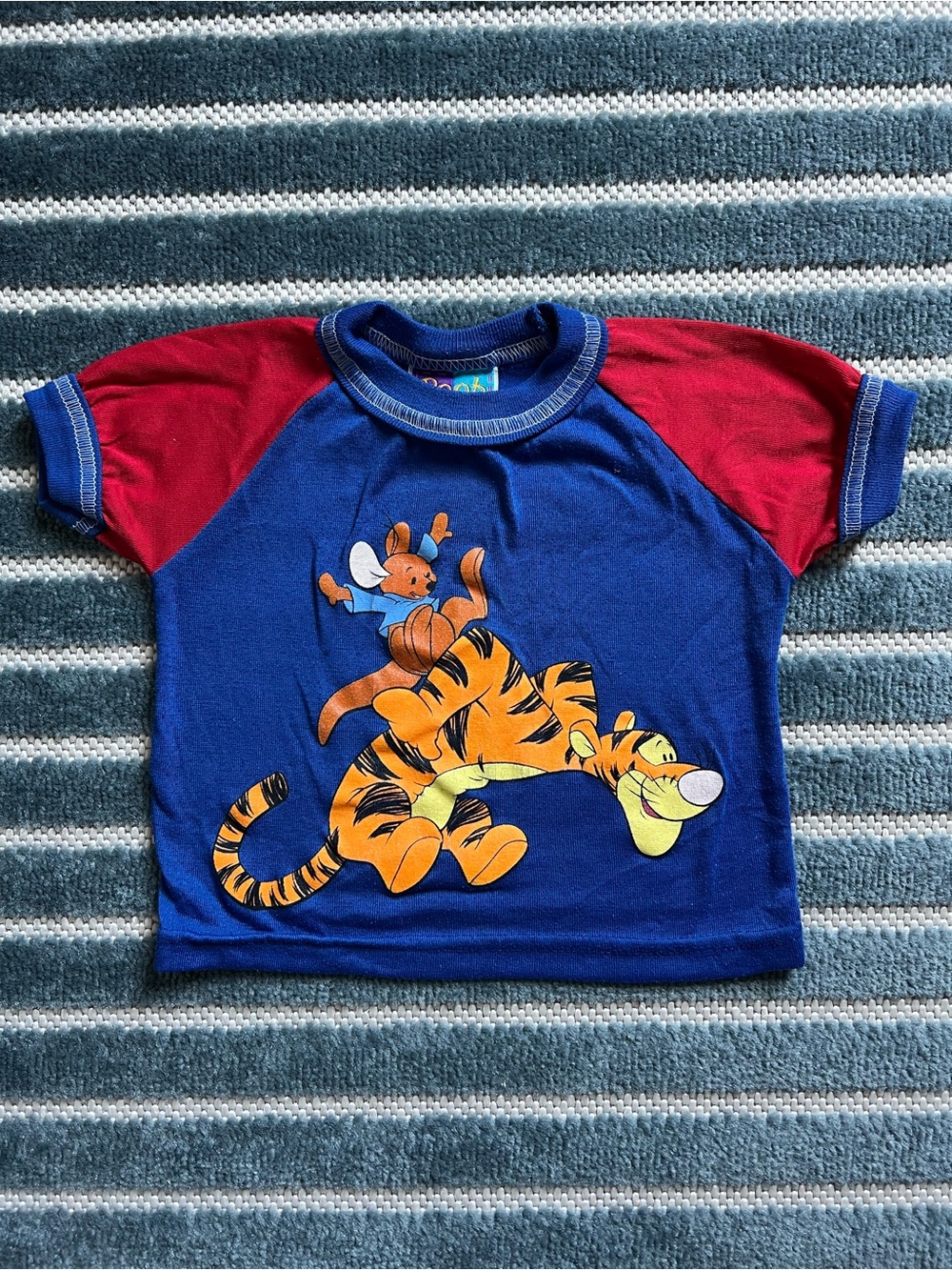 Vintage Disney Winnie the Pooh- Tigger & Roo shirt